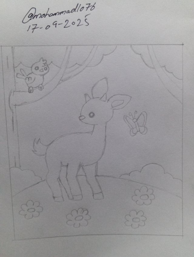1000105065.jpg