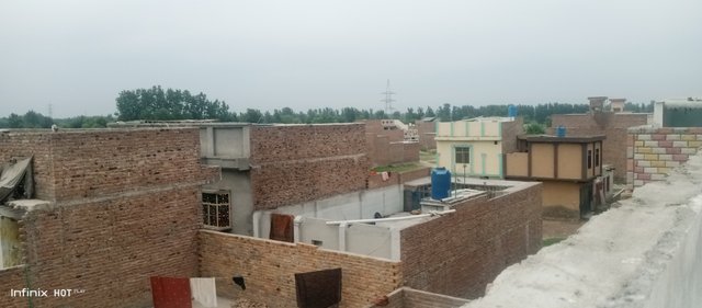 IMG_20250709_135257_052.jpg
