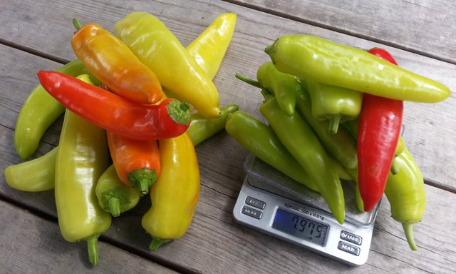 banana_peppers_weighed.jpg