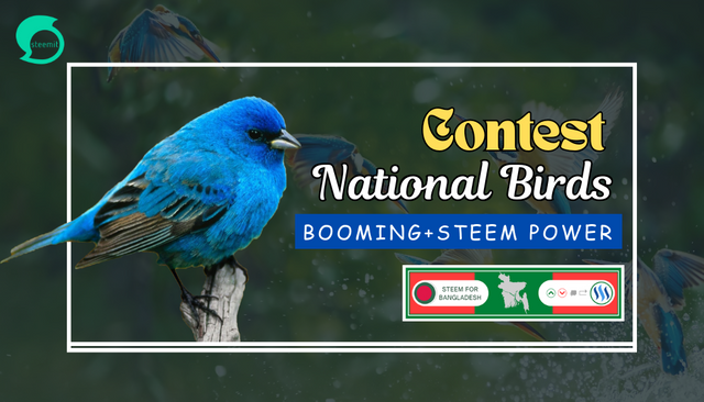 Green and White National Birds Day Poster.png