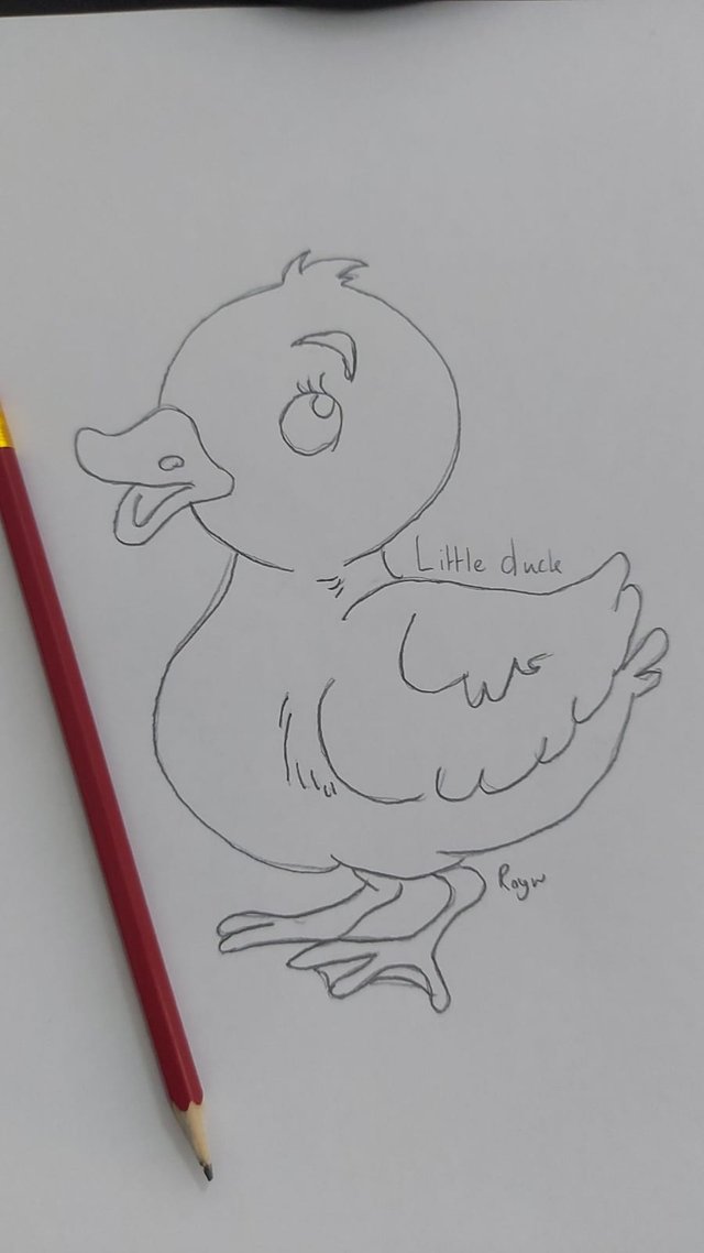 Little duck.jpeg