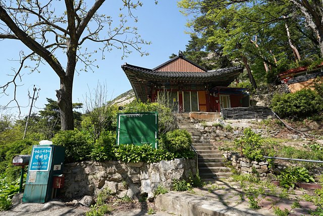 DSC08799.JPG
