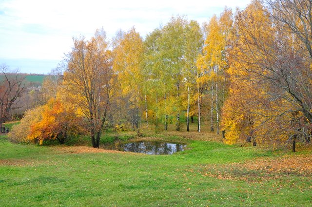 Осень в парке (2).JPG