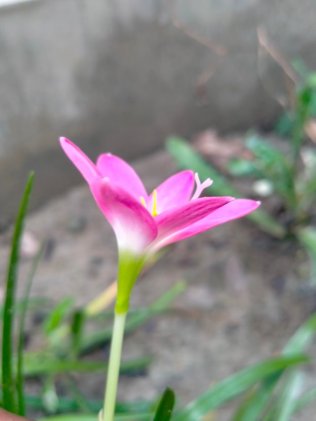 IMG20250716104034.jp