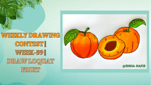 Weekly Drawing Contest  Week-39  Draw Loquat Fruit.png