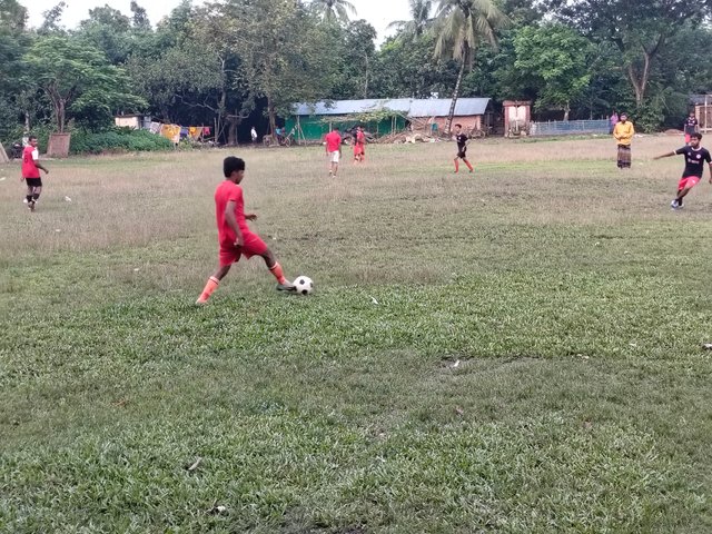 1000043447.jpg