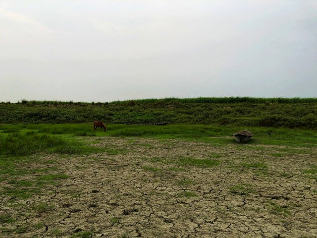 IMG_1942-01.jpeg