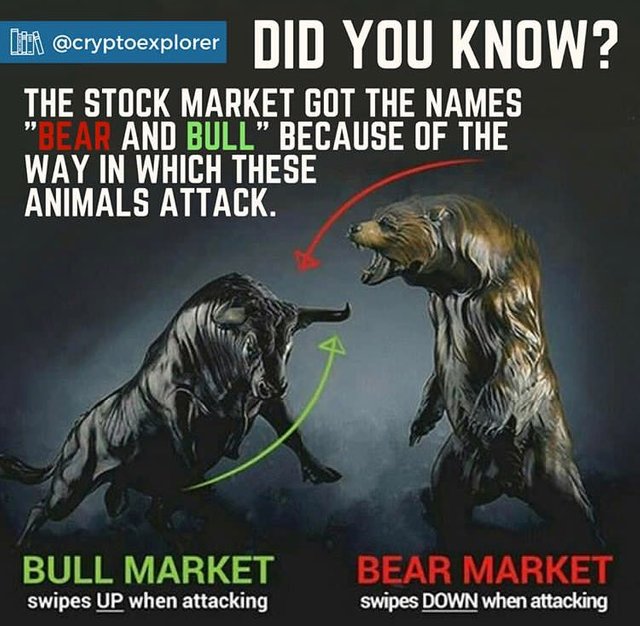Bullish and Bearish market.jpg