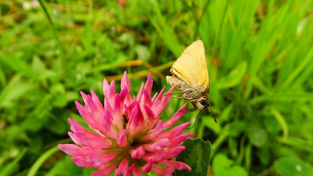 DSC04044.JPG