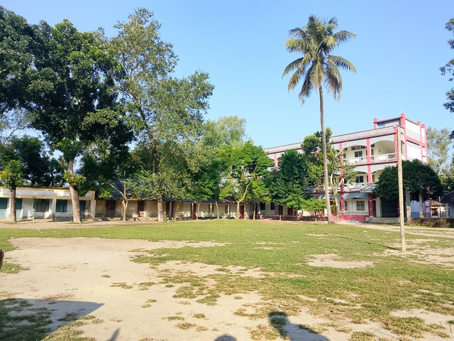 1000054489.jpg