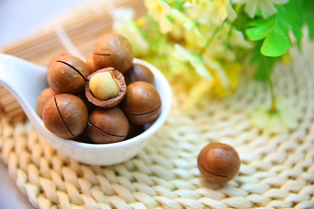 macadamia-nuts-1098170_1280.jpg