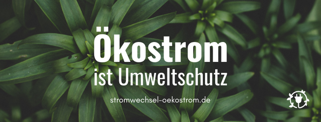 Ökostrom ist Umweltschutz..png