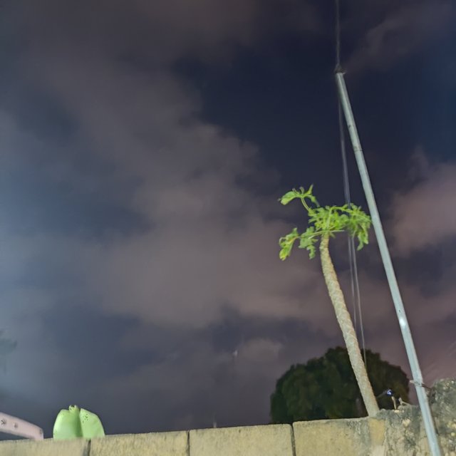 IMG_20230504_052041.jpg