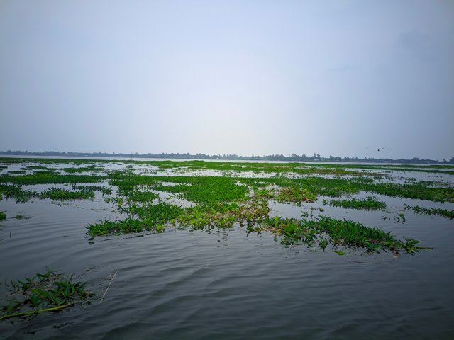 Riyan_20250812_161104_📸DSLR X Plus.jpg