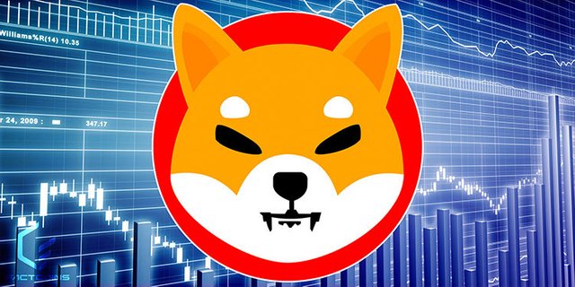 shiba-inu.jpg