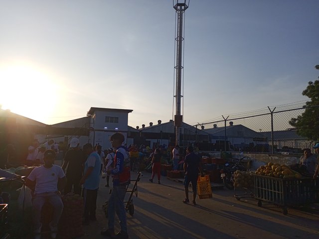 IMG_20250320_071521_508.jpg