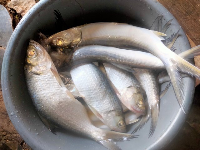 IMG20250528153742.jpg