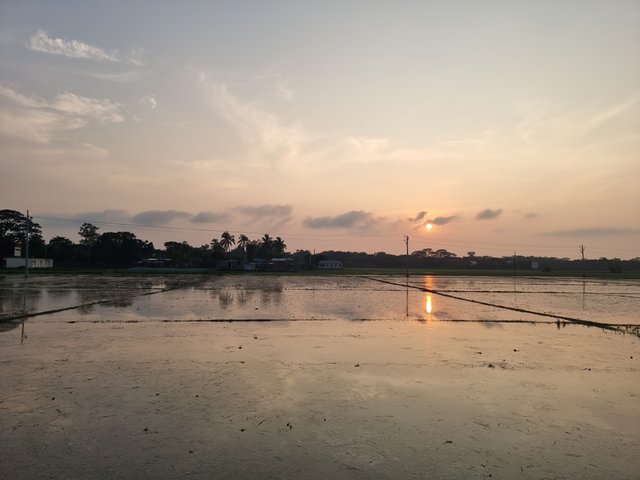 20230704_183125.jpg