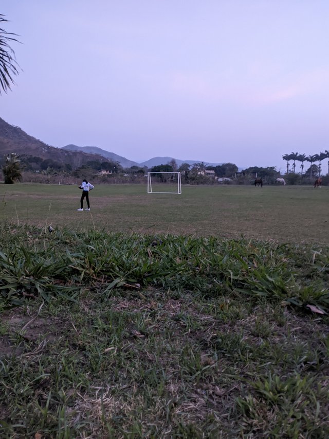 PXL_20250326_184928562.jpg
