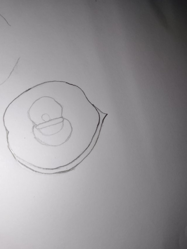 1000052005.jpg