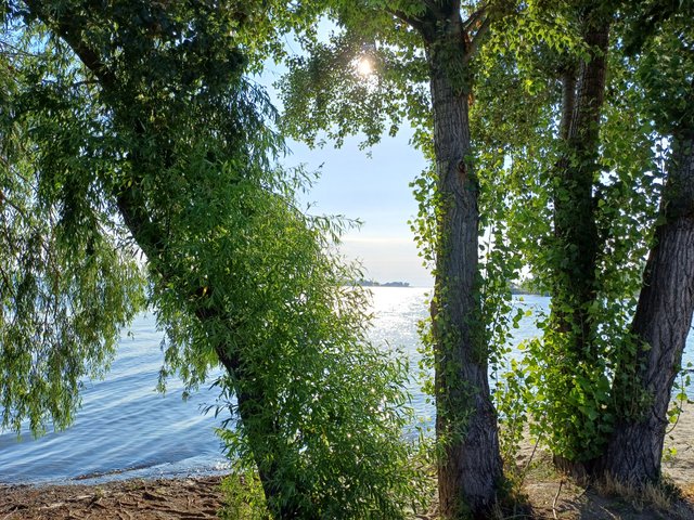 20250712_073923.jpg