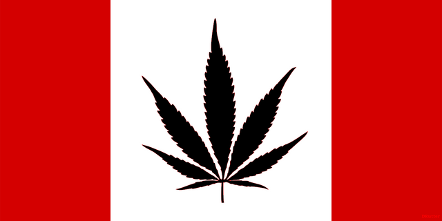black market cannabis.png