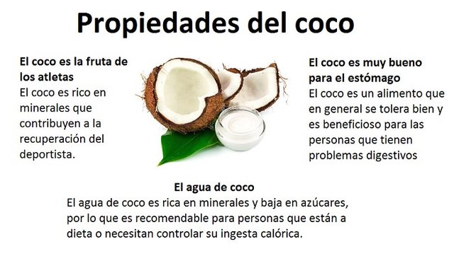 Propiedades-del-Coco.jpg