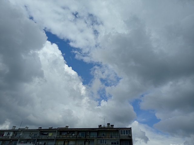 IMG_20250531_113435.jpg