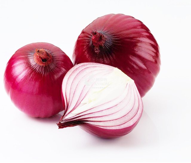 onion-08.jpg