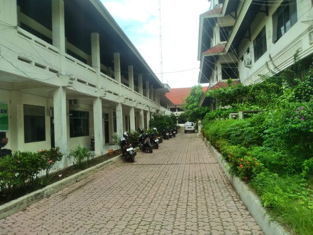 20250617_115239.jpg