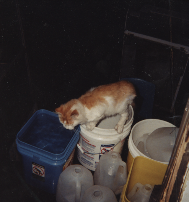 2001-10 Dumb Dumb - Honey's First Kid on Water Bucket FRONT & BACK-1.png