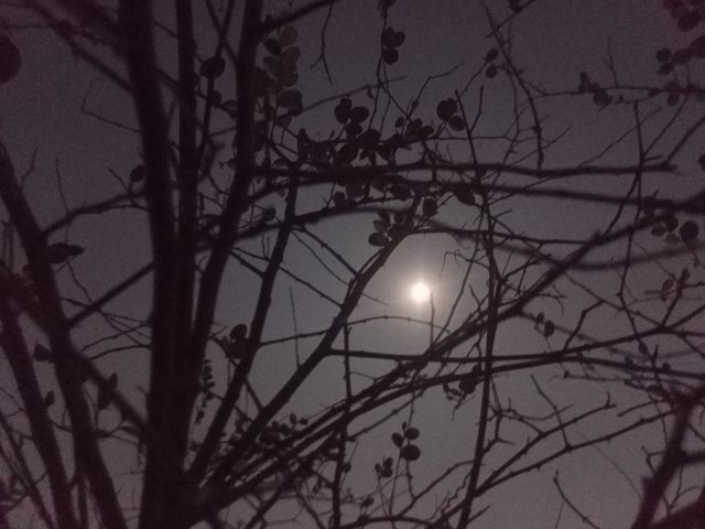 IMG20250213215825.jpg