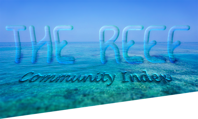 The Reef Temporary Cover