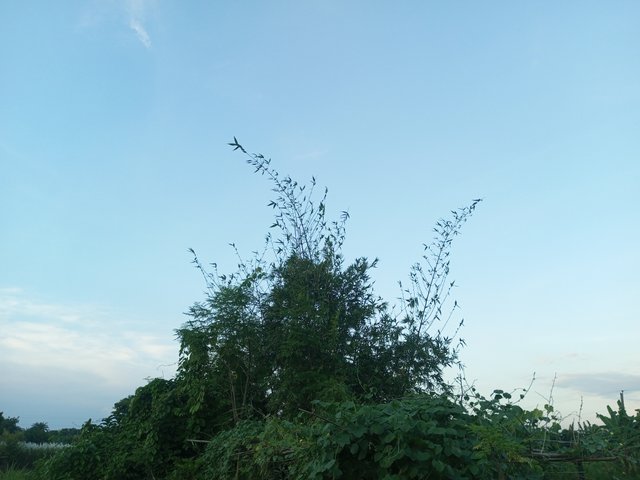 IMG_20230913_174953_343.jpg