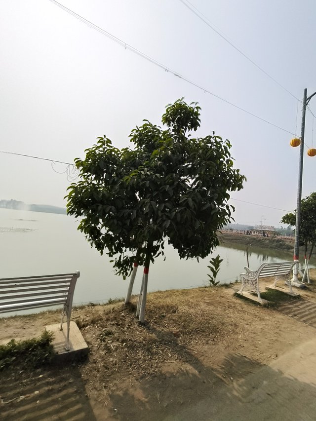 1000203569.jpg