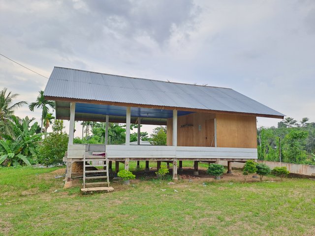 20250614_165024.jpg