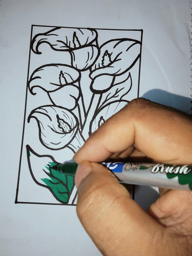 IMG20250429185750.jpg