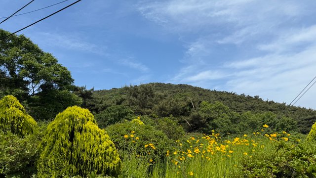 IMG_1407.jpeg