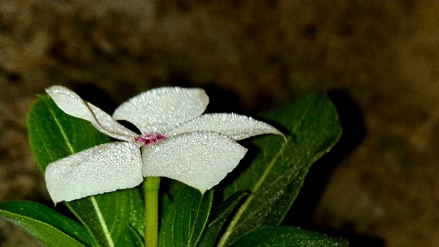 20241210_021825.jpg