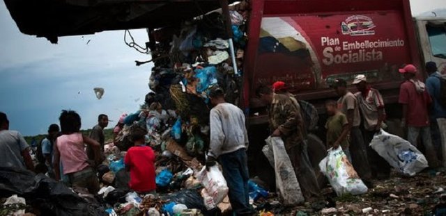 comiendo-de-la-basura.jpg