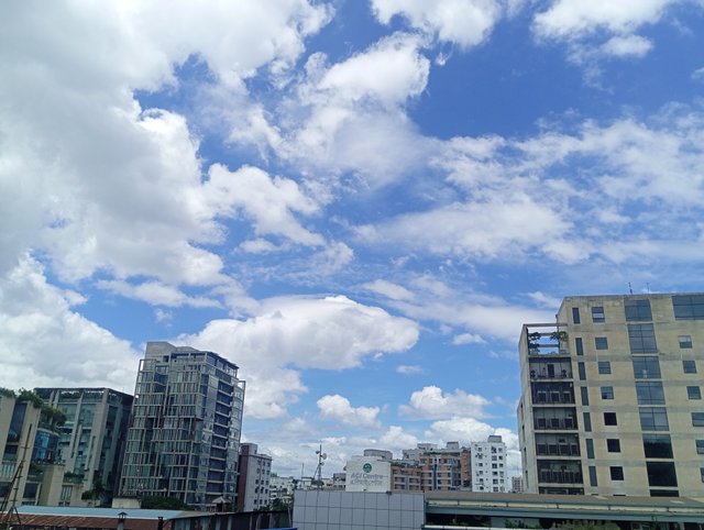 1000584035.jpg