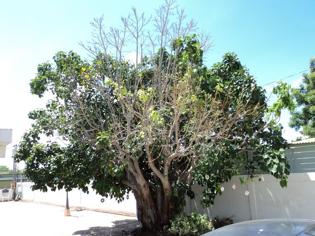 DSC00190.JPG