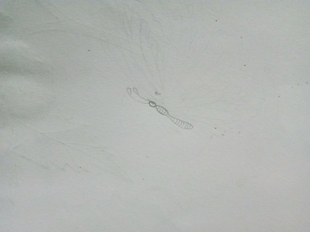 IMG20250928062648.jpg