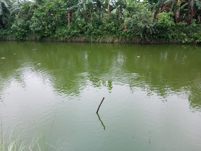 IMG_20250809_062356_580.jpg