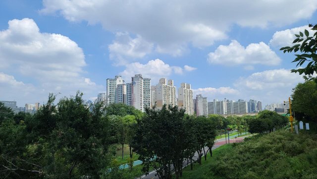 IMAGE 2025-09-17 01:26:43.jpg