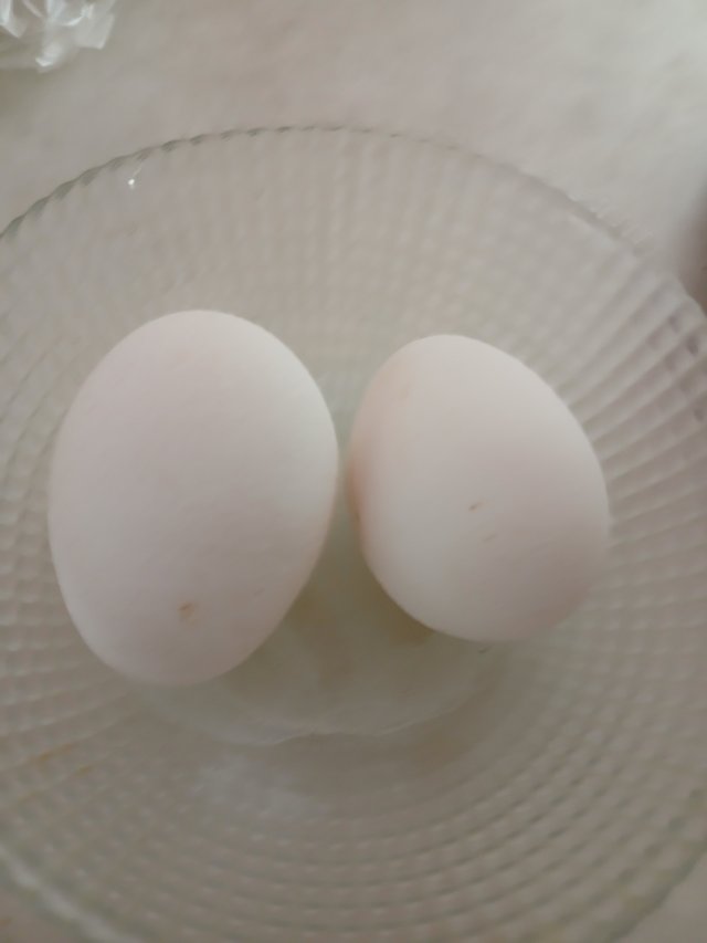 1000220842.jpg