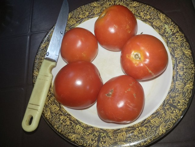 1000066461.jpg