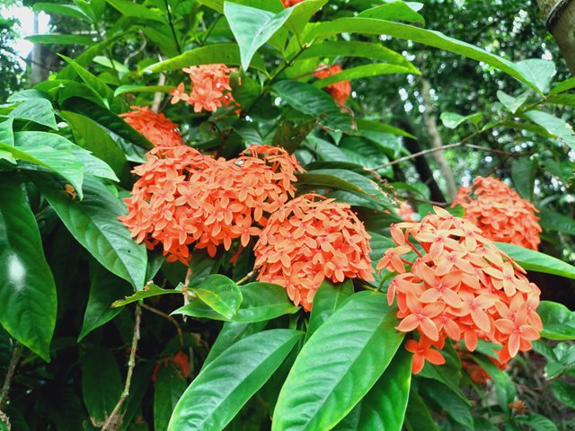 IMG-20250802-WA0007.jpg