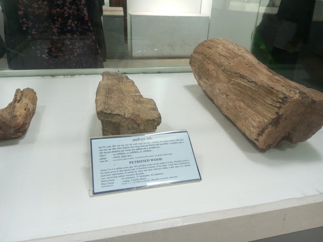 IMG_20250217_121911_657.jpg