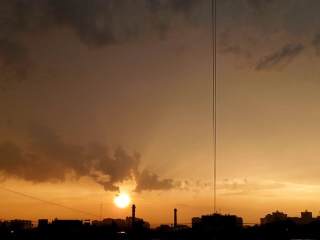 1000063397.jpg